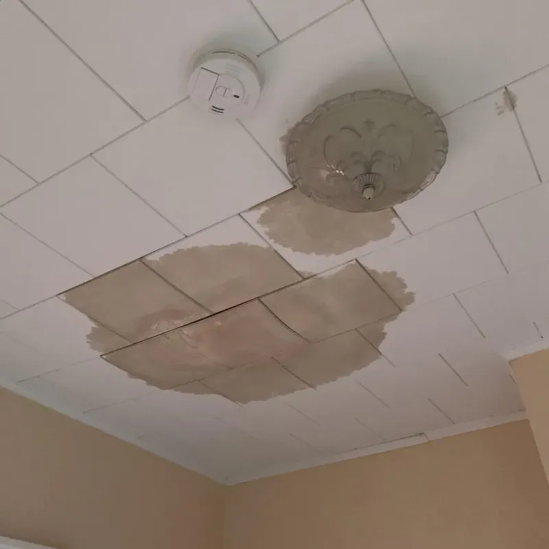 Ceiling Water Damage Repair in Jersey City, NJ
