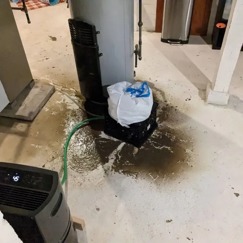 Sewage Backup Cleanup Service in Jersey City, NJ
